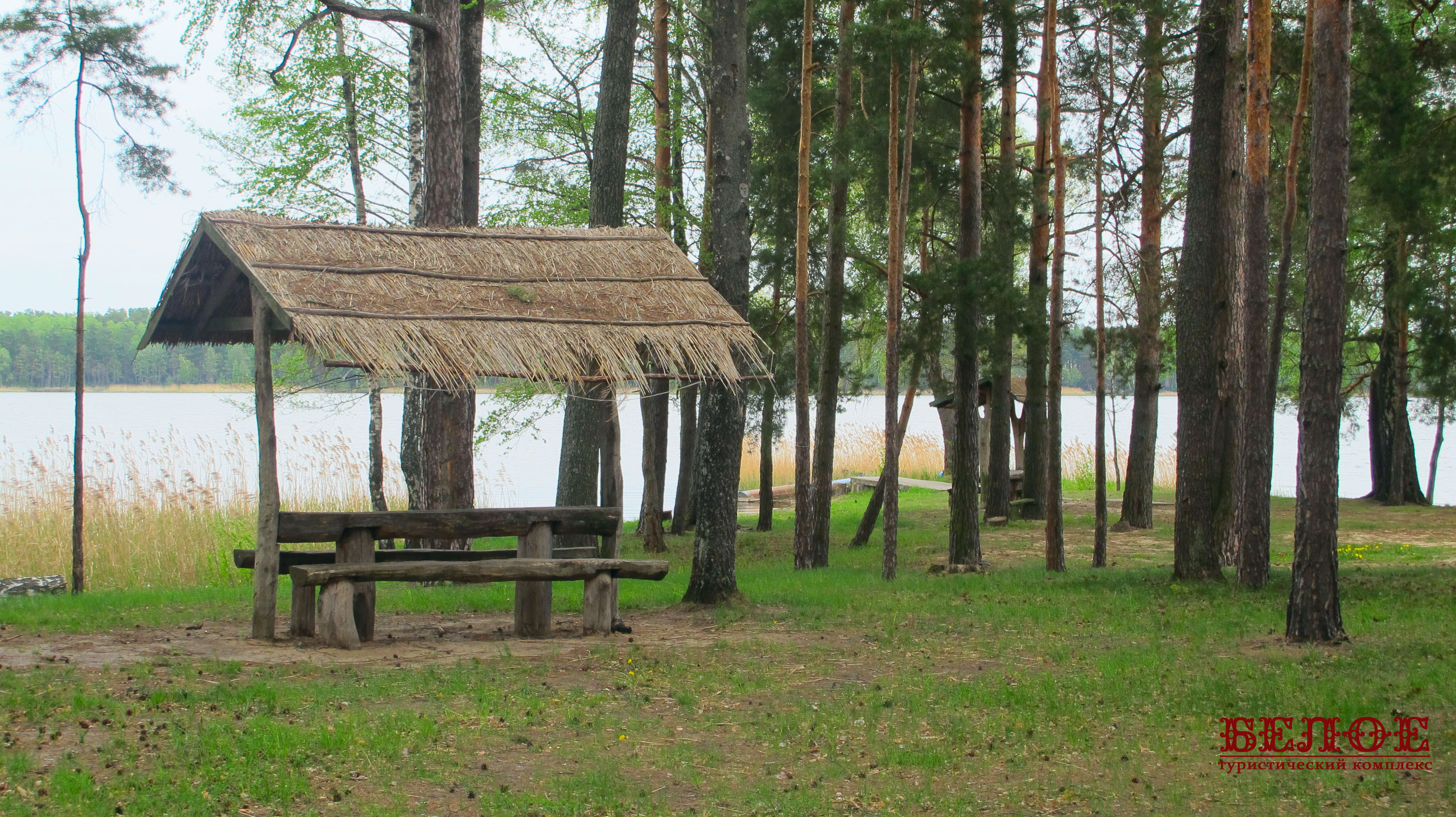 Озеро белое житковичский район